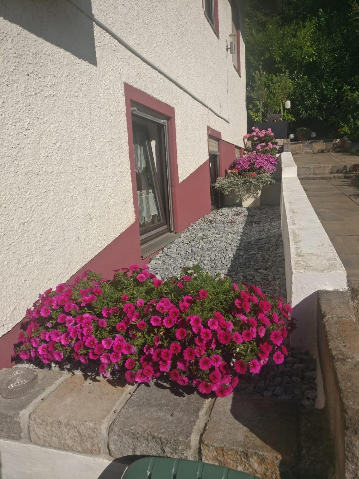גוסוויינשטיין Apartments In Behringersmuehle מראה חיצוני תמונה